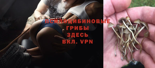бошки Алзамай