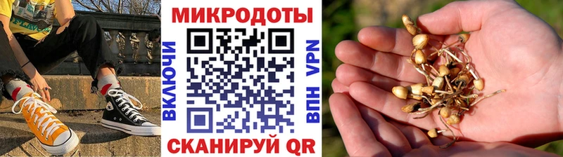 Псилоцибиновые грибы GOLDEN TEACHER Новоузенск